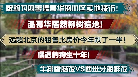 远超北京的租售比房价今年也暴跌了一半，被称为四季温哥华的小区实地探访，柳树遍地！偶遇的狗生10年，牛排香肠饭VS西班牙海鲜饭。超高租售比|房地产困境|燕郊地产观察|北京地产观察|环京楼市一个比一个惨|