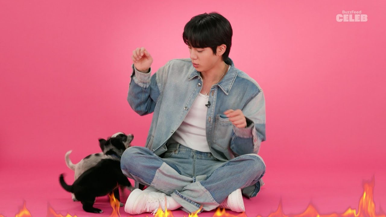 【子犬インタビュー】BTSのJinとかわいすぎる子犬のほのぼのインタビュー