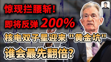 美股突发黑天鹅，惊现拦腰斩，即将反弹200%!丨核电双子星迎来“黄金坑”，谁会最先翻倍?OKLO,SMR,UUUU,AMD,NVDA,GOOG,META,TSLA#trading #投資 #美股