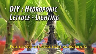 DIY: Indoor Hydroponic Lettuce Full Life Cycle LED Light PPFD, DLI Adjustments. What works for now?