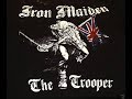 The Trooper - Iron Maiden - Cover by George