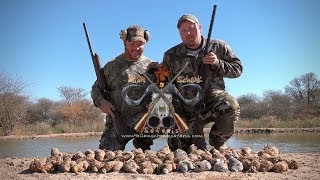 ALLAN SCHENK SAFARIS - KALAHARI SAND GROUSE HUNT 2021 screenshot 3