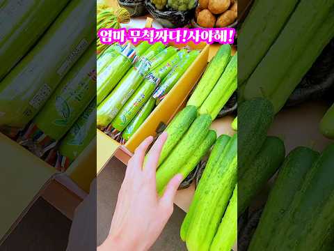 안사면 집에가서 후회하지! #오이 #전통시장 #shorts