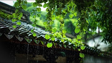 Let the Rain and Birds Heal You 🌧️🕊️ Relax Instantly, Reduce Stress, and Calm Your Mind Naturally