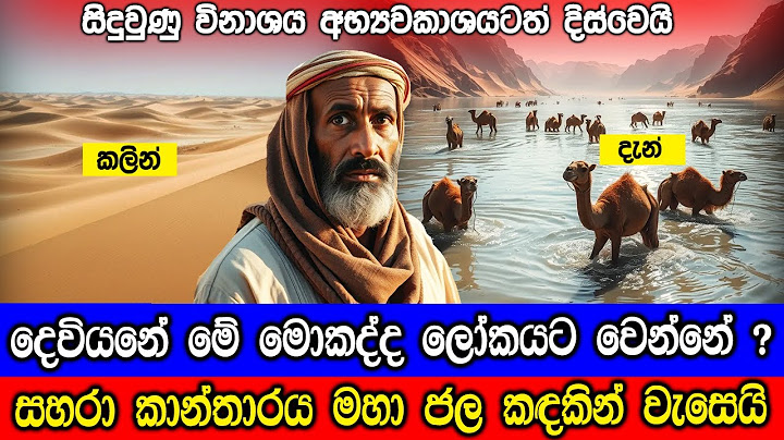 සහරා කාන්තාරය මහා ජල කඳකින් යටවෙයි. - Sahara Desert Witnesses First Floods In 50 Years.