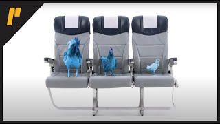 Highmark BCBS Delaware: "Seats" (:15)