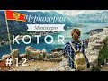 ЧЕРНОГОРИЯ 2019 / КОТОР - Старый город. Как сэкономить 16 евро?