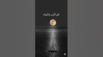 قرآن كريم بصوت جميل جدا جدا راحه نفسيه أرح قلبك وسمعك #qurankareem  #quranhearts