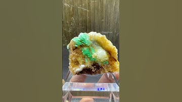 #Gypsum #minerals #crystals #gems #specimen #geology #rocks #stone #Collector #museum