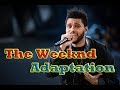 The Weeknd - Adaptation [Lyric Video]