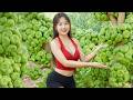 TIMELAPSE – 365 Days Growing And Harvesting Fig Fruits 🍈🌿