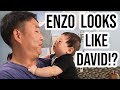 Comparing Enzo & David So! (Everyone says they look alike!)