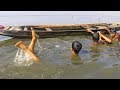 Can you believe this fishing? Men catching fish by hand from under water