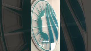 Must Watch before you Get a BBL in Miami Lakes Plastic Surgery by Dr. Morales