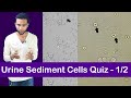 Urine sediment cell identification training quiz  12