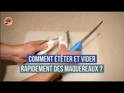 Vidéo: Faut-il saigner du maquereau ?