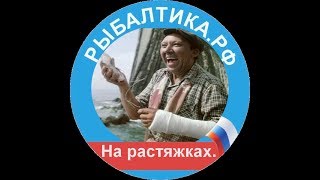 На растяжках....