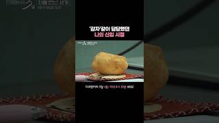 하이닉스 4년 차.. 회사에선 배가 안 고파요 #다큐멘터리3일 ㅣ KBS 260511 방송