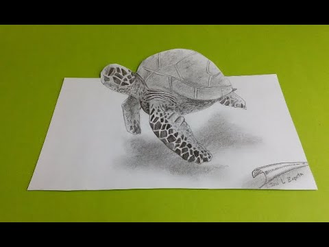 Detalle 22+ imagen tortugas dibujos realistas