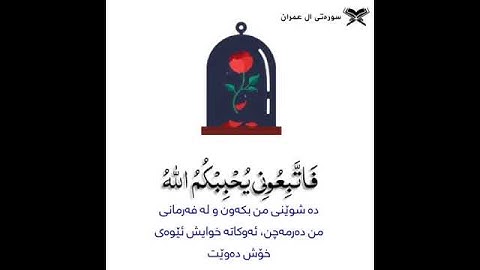 تلاوة تريح القلب بصوت القاريء اسلام صبحي 🧡 حالات واتس اب دينية قصيرة ومؤثرة 💔