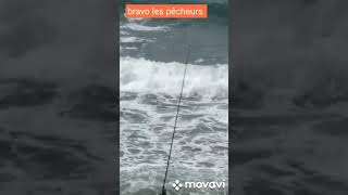 shorts / bon courage les pêcheurs et bravo ??