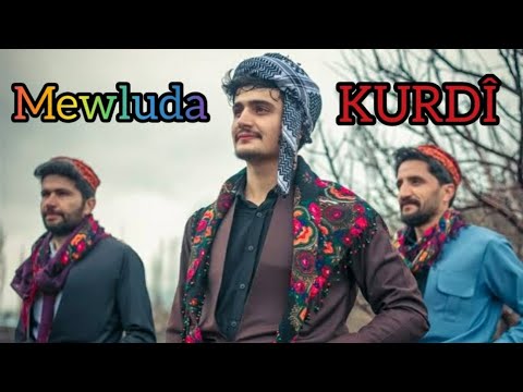 Mevluda Kurdî, Mevluda Kurmanci ( Kürtçe Mevlüt )