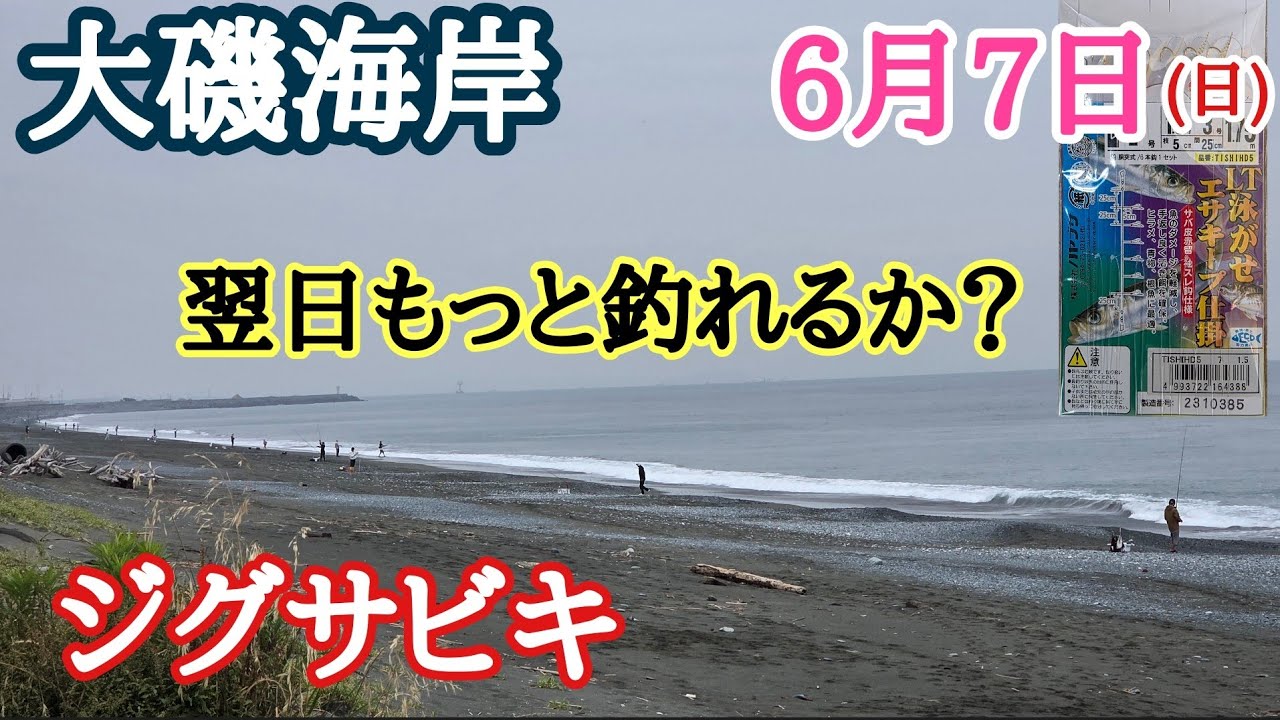 大磯海岸】6月7日(日) 朝 ジグサビキ 前日釣れた翌日、もっと釣れるか
