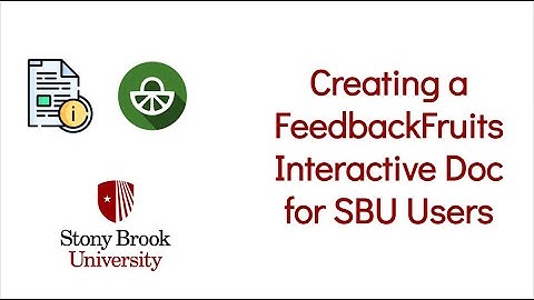 Creating a FeedbackFruits Interactive Doc for SBU Users