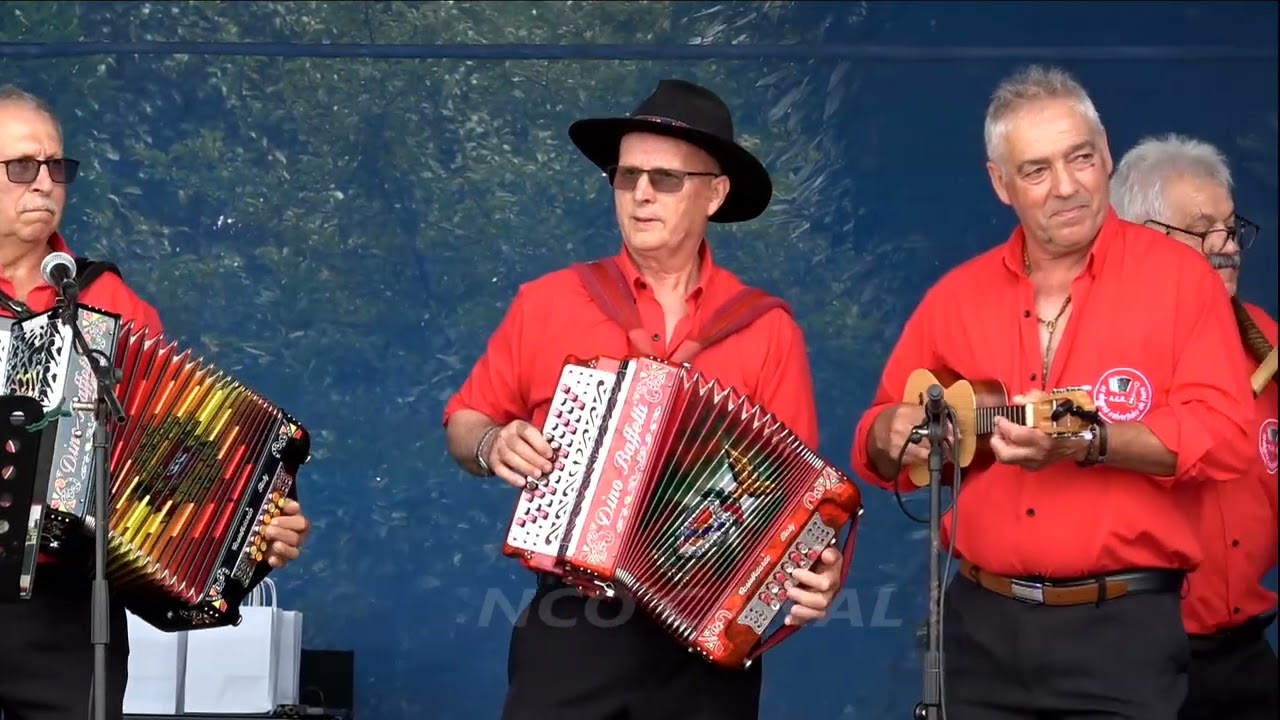 Alegres e Divertidos da Feira em Alquerubim Albergaria-a-Velha, 2025 (08)