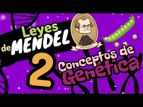 🌱CONCEPTOS DE GENÉTICA en 4 minutos [leyes de Mendel] Guía examen UNAM - IPN