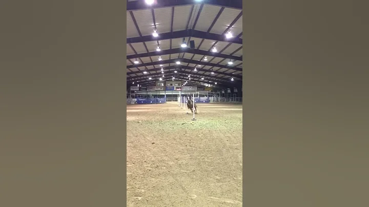 Ashton's Dee running poles