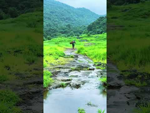 Hidden Waterfall In Navi Mumbai In Just 30