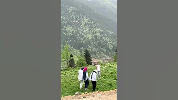 ف ي ع شق بيستنانا فلسفة الحياة 