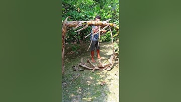 Funny🥸 Banana🍌 Tree🌴 Cutting🪓// #share #short #shorts #banana