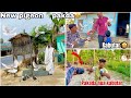 New pigeon pakad liya  dadi nikli kabutarbaz   petsvlog familyvlog vlog