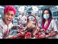 O CREEPYHORSE FOI ASSASSINADO *quem matou?