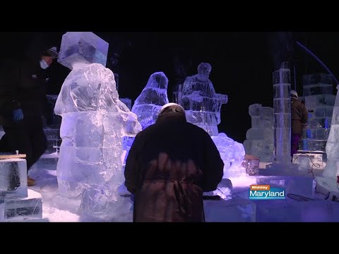 Video: ICE! Gaylord National Resort'ta Noel