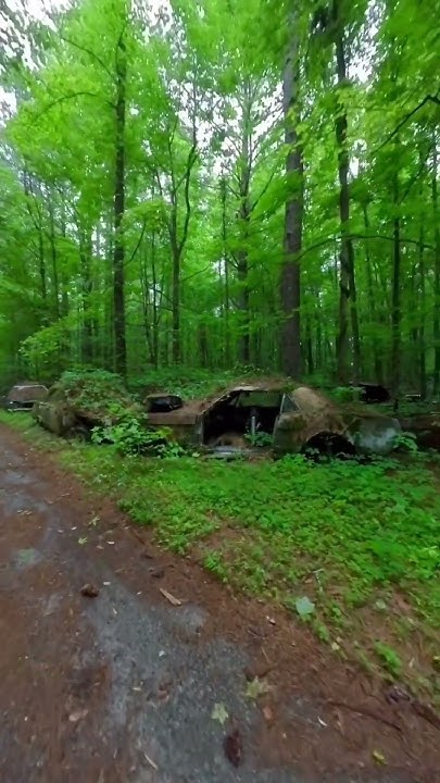 time-passes-irrevocably-virgil-oldcars-inthewoods-vintagecars