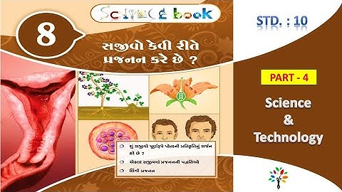 Std 10 science ch 8 p 4 | સજીવો પ્રજનન કેવી રીતે કરે છે | how do organisms reproduce