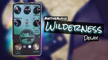 NativeAudio Wilderness demo | Did they just create one of the perfect delay pedals for guitar?