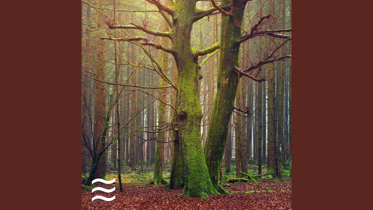 Natural Brown Noise and Raining for Sleep