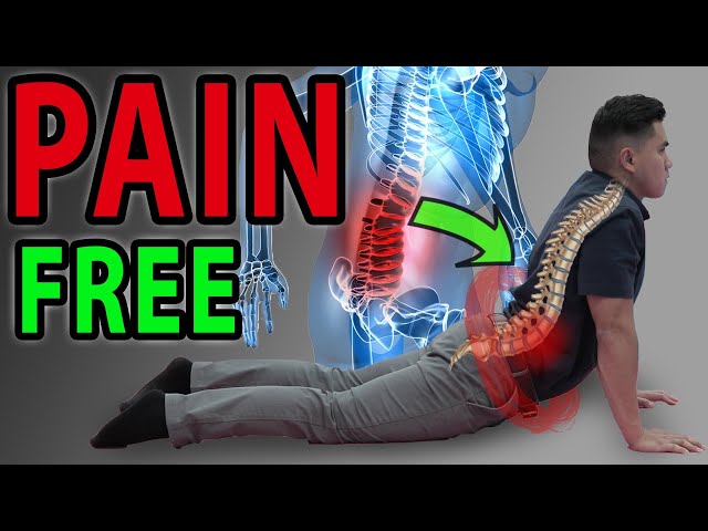 3 best exercises to start with if you are suffering from BACKPAIN, by  Normally_Uncanny