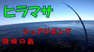 《ヒラマサ》ショアジギング　㏌隠岐の島