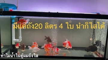 น้ำใสด้วยระบบกรองแบบกาลักน้ำ Overflow +ถังกรอง 20 ลิตร 4 ถัง #diy #overflow