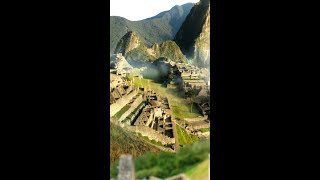 Local Guides - Machu Picchu shorts