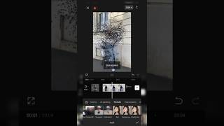 Particles Dessipate Effect In Capcut Tutorials