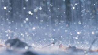 Prophetic word: The Rain is Here! #Part 2 lt's Raining Men! 👰🤵👰🏾🤵🏾💍💒🌈🙌🏾☔