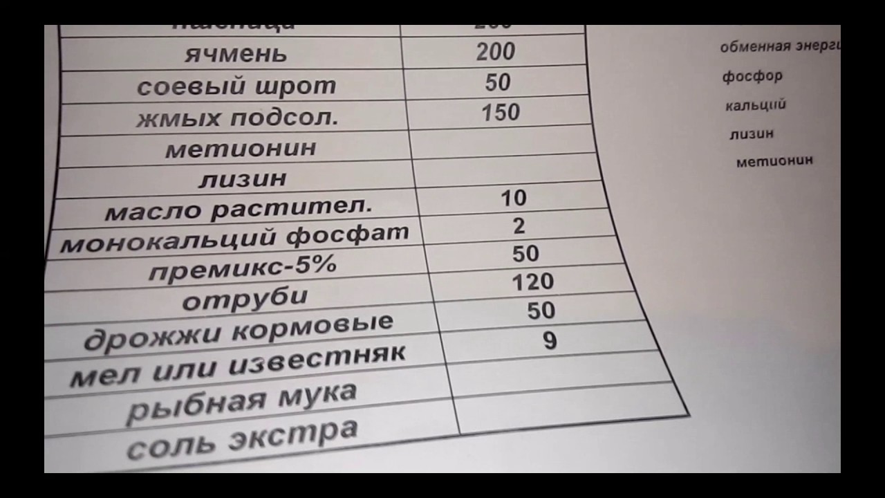 Склад комбікорму для свиней: важні компоненти