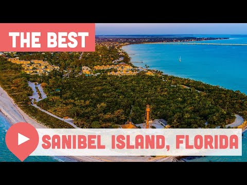 Video: The 12 Best Kid-Friendly Things to Do on Sanibel Island