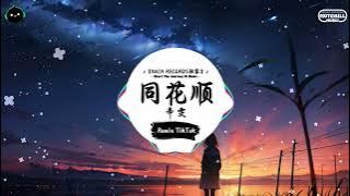 同花顺 (抖音DJ版) - 辛雯『要是你心里真没我,你不会剪去了长发。』♪ || 抖音最火歌曲音 | 抖音 TikTok ♪